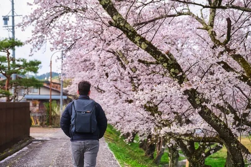 Luggage Solutions for Repeat Travelers to Japan, Asia - Long-Term Suitcase Storage