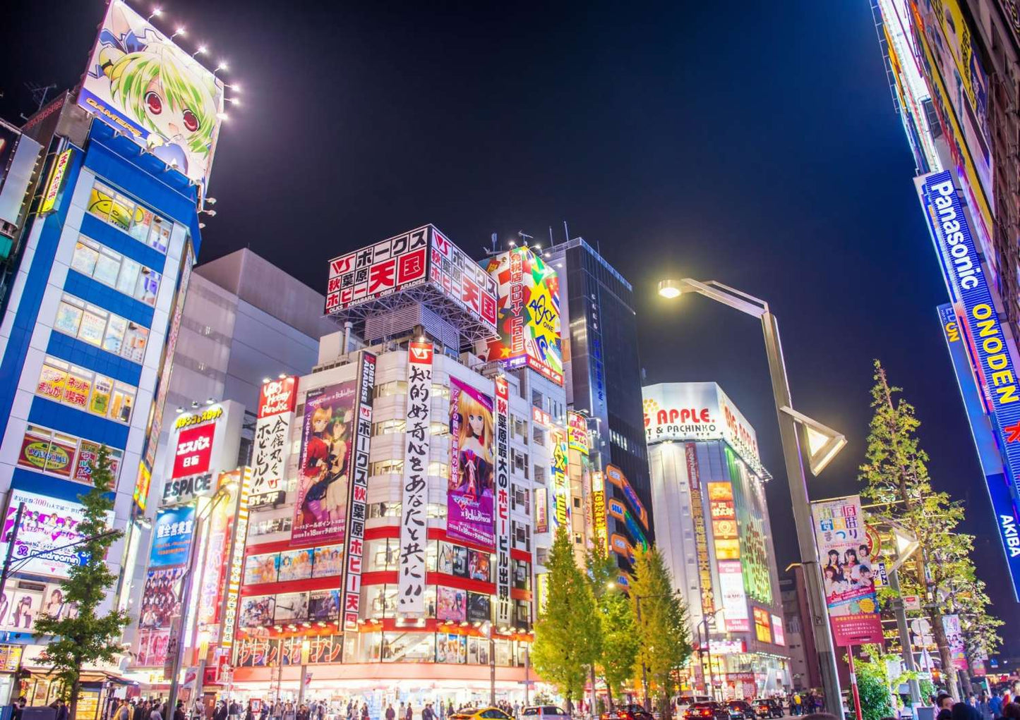 Shop Japan long-term Storage & Forwarding Service - MONTHLY PLANS