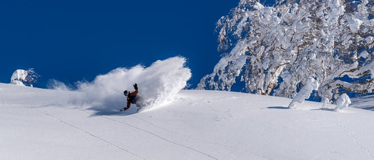 place to store snowboard and ski for niseko