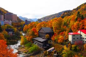 Seasonal Rental Condo - 2 bedroom - Near Niseko & Sapporo, Hokkaido Real Estate, Jozankei Hot Spring Resort town