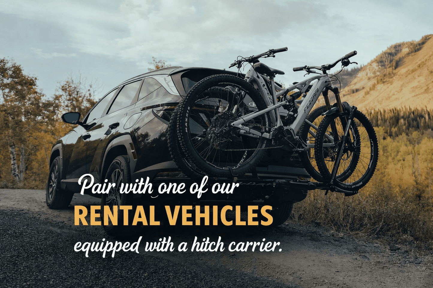 We rented touring road bikes in Japan with a rental van package. 